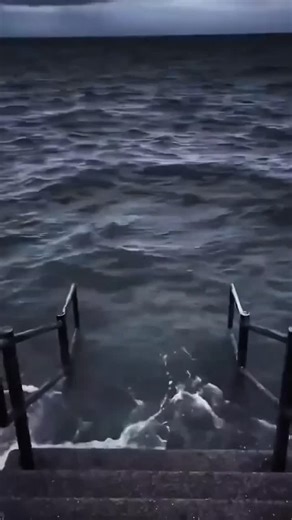 𝙊𝘾𝙀𝘼𝙉 🌊 𝙈𝙀𝙈𝙀 on Instagram: "Brother eww brother eww 🤢😭 #meme #memes #oceanmeme #viral"