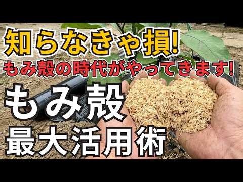 【徹底解説】もみ殻の使い方・もらい方・燻炭・ぼかし肥料まで全部解説!!