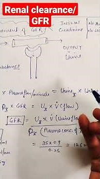 calculation of GFR#shorts #physiology #kidney
