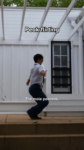 86 reactions · 4 comments | Studying the greats | Keith Laue | Facebook