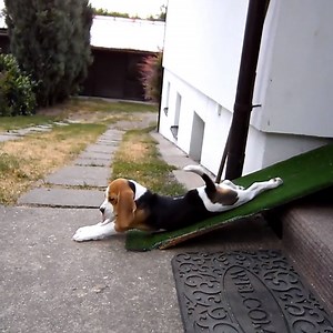 When you just can't even: | Try Not to Laugh