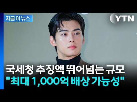차은우, 세금 아끼려다가...업계서 나온 '천문학적 배상' 폭탄 전망 [지금이뉴스] / YTN