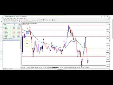 renew demo account on mt4