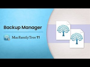 Backup Manager (EN)