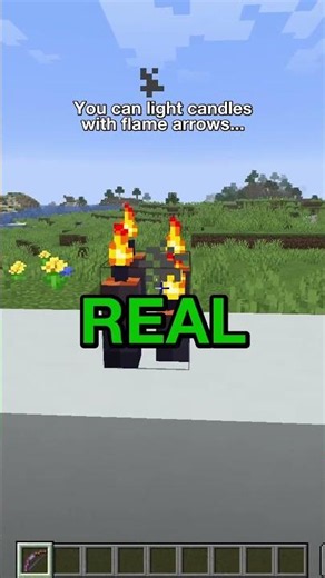 Minecraft myth busters
