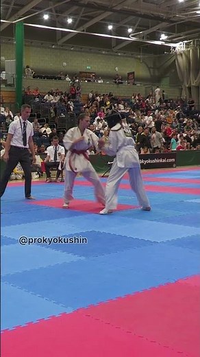 The 47th British Open & 15th Cup of Europe (IFK) 4.10.2025 Crawley, Great Britain