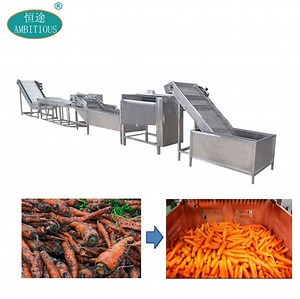 [Hot Item] Carrot Ginger Radish Washing Machine Carrot Processing Line