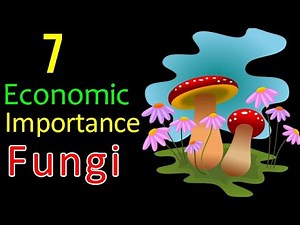 7 Economic Importance of Fungi : Importance of Fungi and Mushrooms