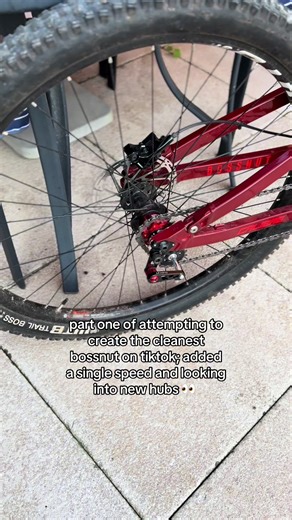 Creating the Cleanest Bossnut Bike on TikTok