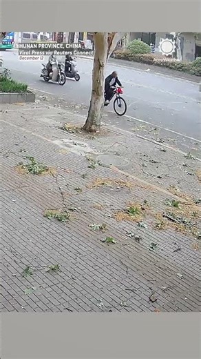 Strong Winds Cause Tree Branch to Fall on Cyclist