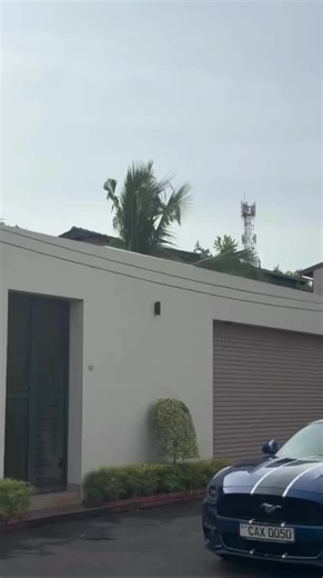 new beast added #mustanggt #goviral @Rolando_soysa☠️✝️🇱🇰🇶🇦 @keviya916