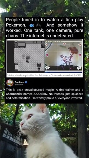 Fish Plays Pokemon—The Internet’s Funniest Experiment