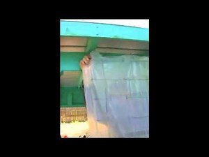 V1 Algae Photobioreactor Bag