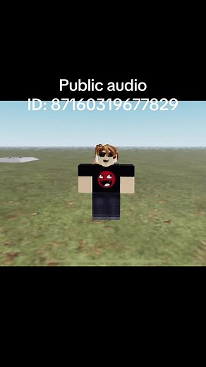 Roblox Loud Audio ID: 87160319677829