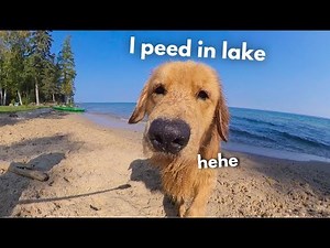 My Dog Rents A Beach House | Family Vacation