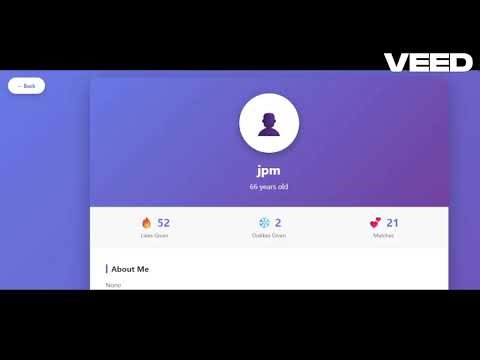 Icicle Dating App - Icicle Chat Functionality Review -