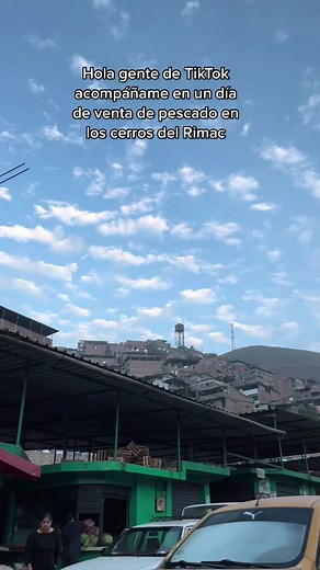 Don Mario el pescador on TikTok