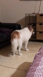 8.9K views · 1K reactions | Candy on Reels | Facebook