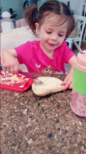 Micro Pro Grill GRILLED cheese in 4 minutes!