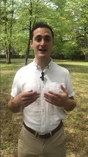 The Science Behind Forest Bathing: Why Time in Nature Helps You Feel More Like Yourself Again