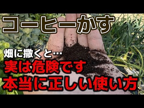 [Coffee grounds] It's extremely dangerous to spread them on fields! We'll explain the correct way...