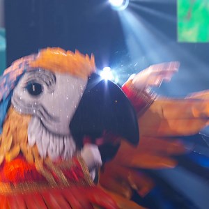 20K views · 863 reactions | You don't wanna miss this legendary 3-way Battle Royale on The Masked Singer Semi-Finals! It all goes down Wednesday at 8/7c on FOX  | The Masked Singer | Facebook