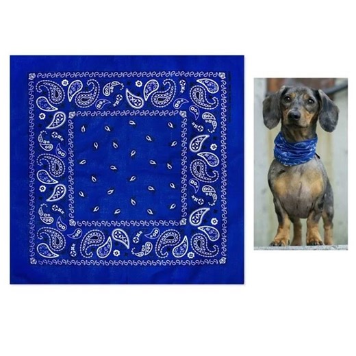 Blue Bandana蓝头巾\nIn Qingou, Henan, China, my great-grandmother lived for 98 years—strong, practical,