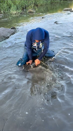 5K views · 25 reactions | Mouse trap is use to catch fish | Jacovtv | Facebook