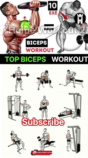Best Bicep Workouts - MAXIMUM GROWTH!