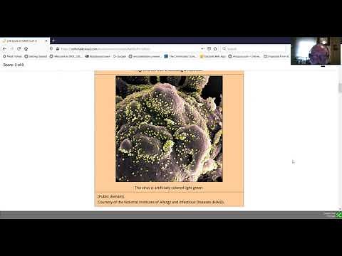 Life Cycle of SARS CoV 2