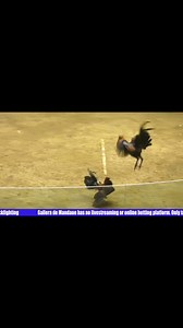 Hgg Gamefarm on Reels