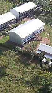 53K views · 1.8K reactions | Focus on one or 2 things maximum, then you'll grow rich! #farmupacademy #poultryfarming #Farmup | Farm Up | Facebook