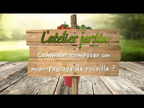 Comment composer un mini-paysage de rocaille ?