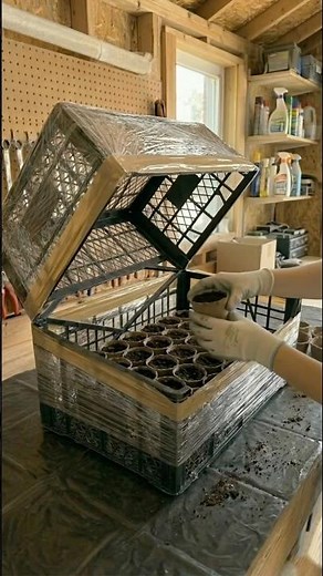 DIY Mini Greenhouse From Plastic Crates 🌱 Cheap & Easy Garden Hack