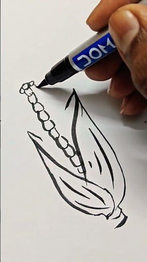 Easy Corn Drawing Step by Step Tutorial for Beginners | How to Draw a Simple Corn Cob with Pencil