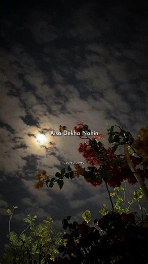 Aisa Dekha Nahin Khoobsurat Koi ✨ Afreen Afreen | #Shorts ​#Aesthetic​ #Lyrics #Feed #LyricsShorts
