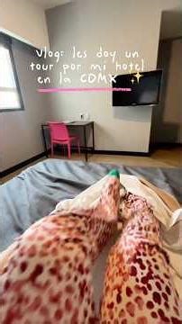 VLOG IN CDMX: ACCOMMODATION IN BUENAVISTA