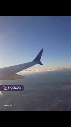 londonkat (@londonkats)’s videos with original sound - londonkat