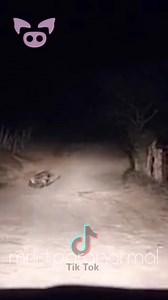 What is Captured on Camera? | Slapped Ham