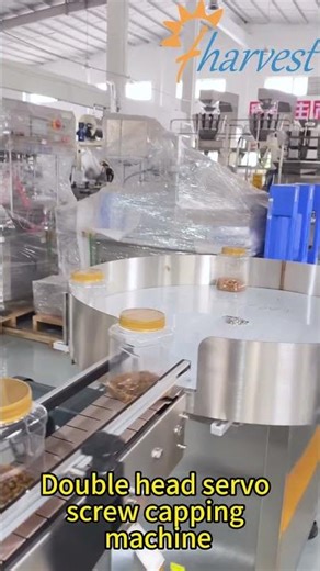 Double head servo screw capping machine, capper equipment factory
