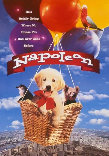 Napoleon (1994)