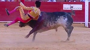 Moment Spanish bullfighter gored to death