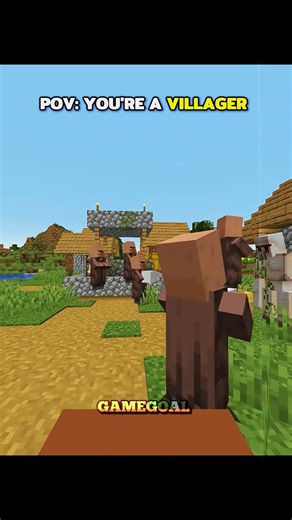 POV: You're a Villager, Iron Golem