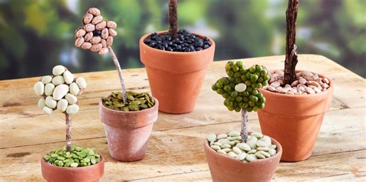 DIY Bean Blooms Are the Perfect Rainy Day Kids' Project