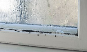 Lynsey Crombie shares how to stop condensation on your windows