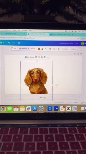 Paw-fect Holiday Gifts from Staples 🐾