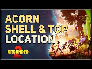 Acorn Shell and Acorn Top Location Grounded 2
