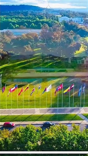 Canberra’s Fresh Greenery View 🌱 | Relaxing Nature Scene”
