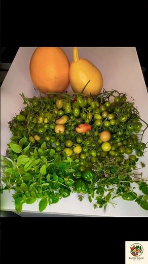 Final Garden Harvest Before Swedish Winter | Cherry Tomatoes & Golden Pumpkin!