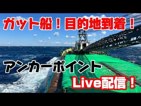 [2025] [Gutter Barge] Anchored off the Kanto Coast⚓️Live! What will Sailor Honpo6ch have to say⁉️